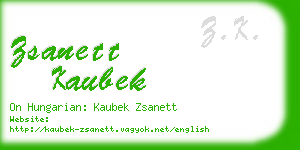 zsanett kaubek business card